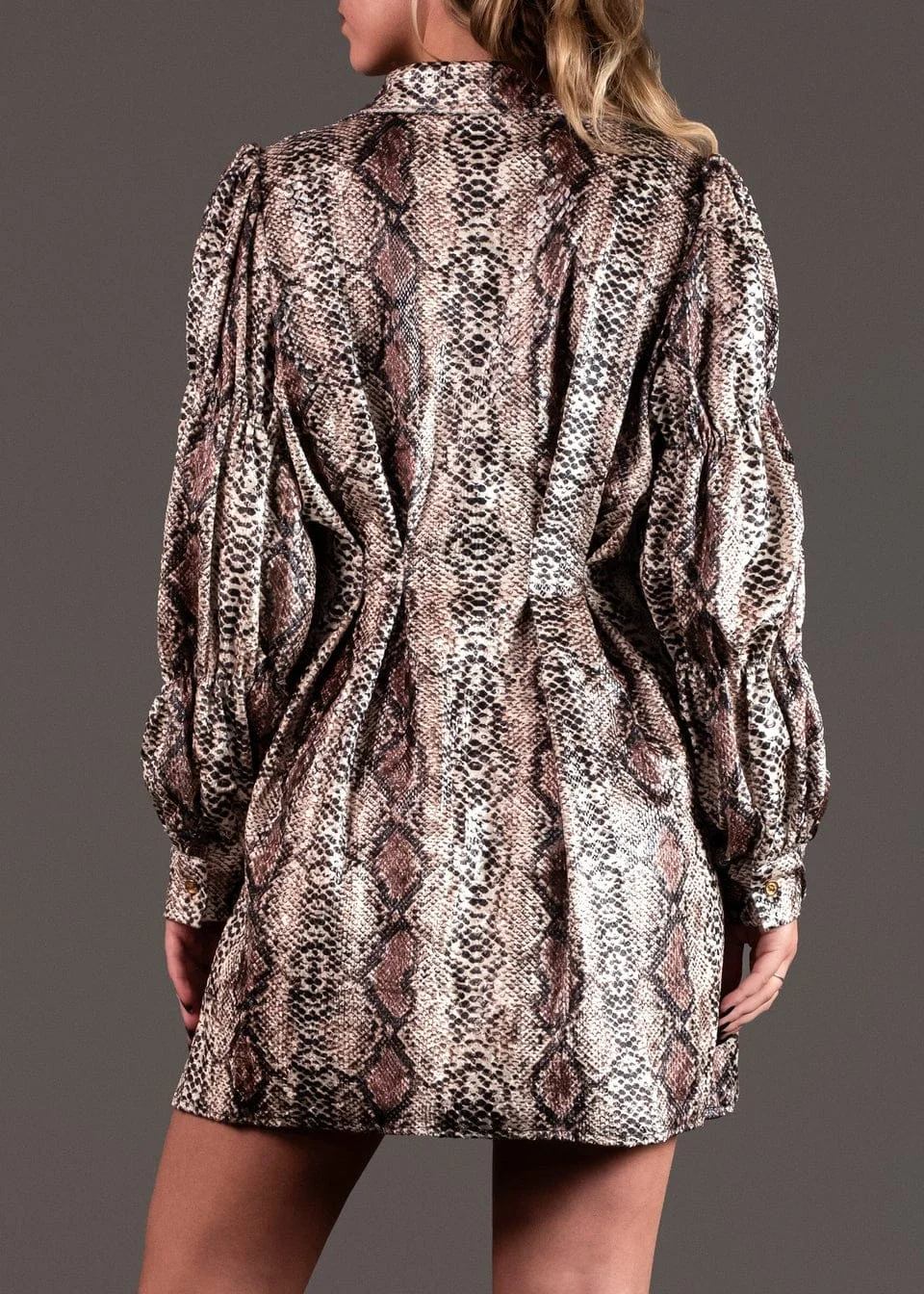 ModaFesta -snake-printed-dress-with-belt